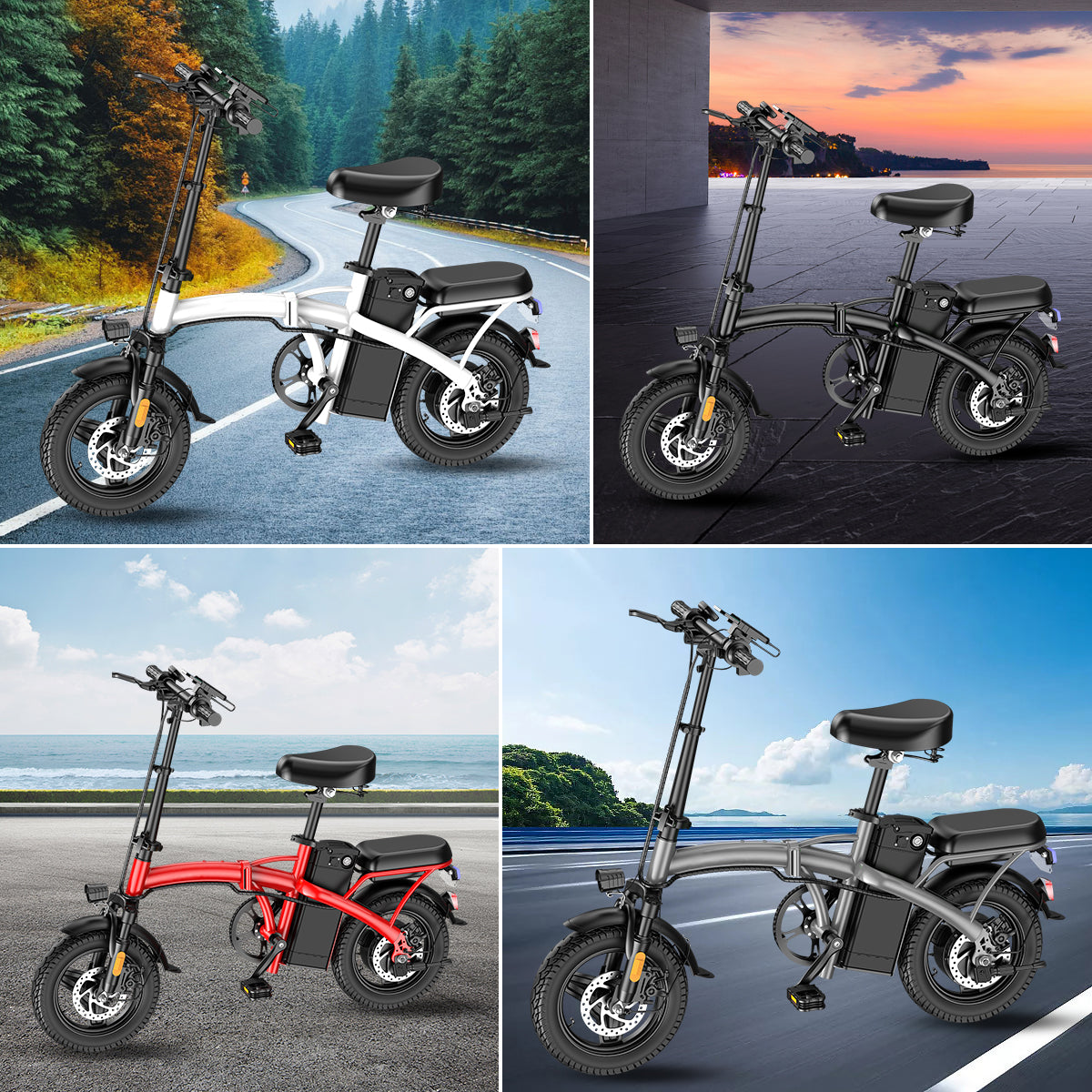 Little Dolphin Folding Electric Bicycle